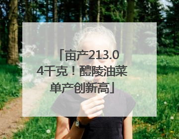 亩产213.04千克！醴陵油菜单产创新高