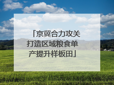 京冀合力攻关打造区域粮食单产提升样板田