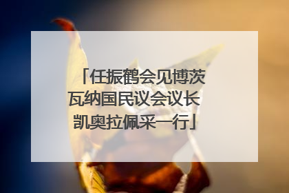 任振鹤会见博茨瓦纳国民议会议长凯奥拉佩采一行