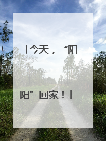 今天，“阳阳”回家！