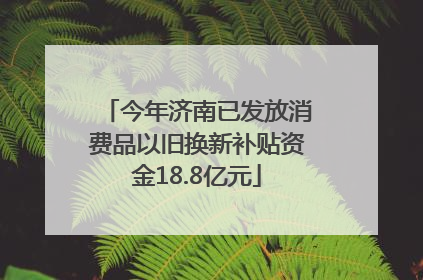今年济南已发放消费品以旧换新补贴资金18.8亿元