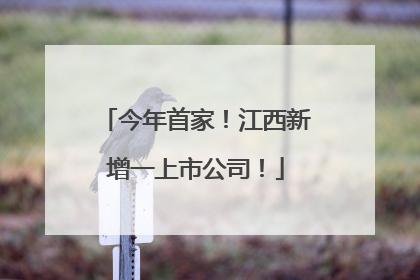今年首家！江西新增一上市公司！
