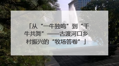 从“一牛独鸣”到“千牛共舞”——古渡河口乡村振兴的“牧场答卷”
