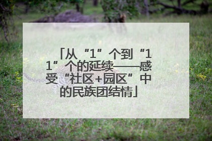 从“1”个到“11”个的延续——感受“社区+园区”中的民族团结情