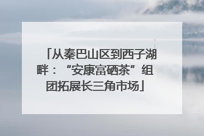 从秦巴山区到西子湖畔：“安康富硒茶”组团拓展长三角市场