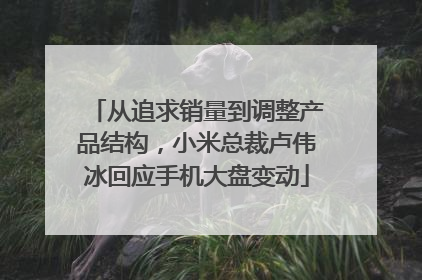 从追求销量到调整产品结构，小米总裁卢伟冰回应手机大盘变动