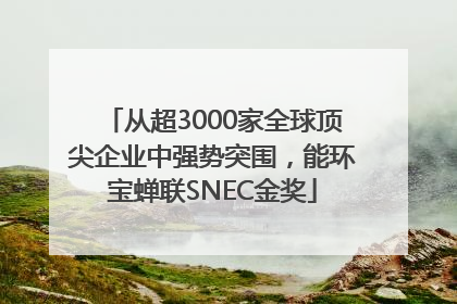 从超3000家全球顶尖企业中强势突围，能环宝蝉联SNEC金奖