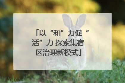 以“和”力促“活”力 探索集宿区治理新模式