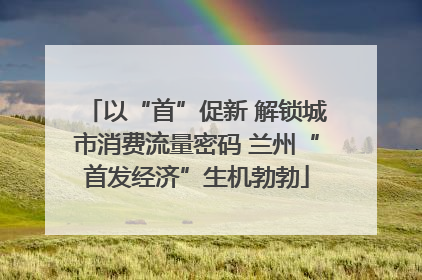 以“首”促新 解锁城市消费流量密码 兰州“首发经济”生机勃勃