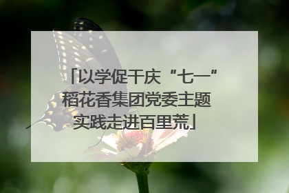 以学促干庆“七一” 稻花香集团党委主题实践走进百里荒