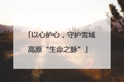 以心护心，守护雪域高原“生命之脉”