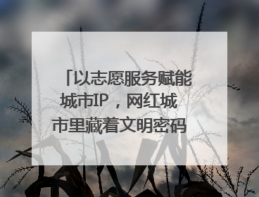 以志愿服务赋能城市IP，网红城市里藏着文明密码｜新京报评论
