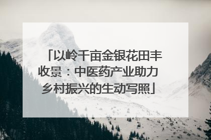 以岭千亩金银花田丰收景：中医药产业助力乡村振兴的生动写照
