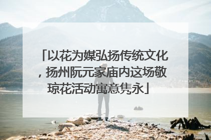以花为媒弘扬传统文化，扬州阮元家庙内这场敬琼花活动寓意隽永