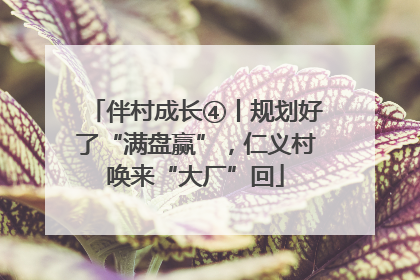 伴村成长④丨规划好了“满盘赢”，仁义村唤来“大厂”回
