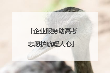 企业服务助高考 志愿护航暖人心