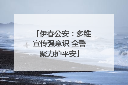 伊春公安：多维宣传强意识 全警聚力护平安