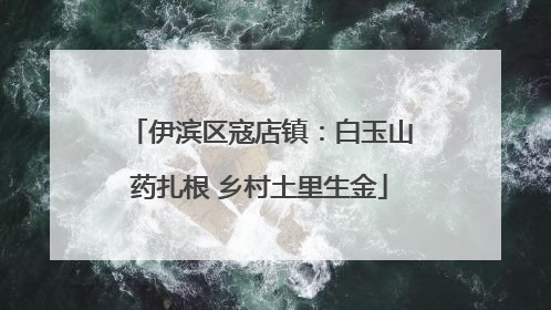 伊滨区寇店镇：白玉山药扎根 乡村土里生金
