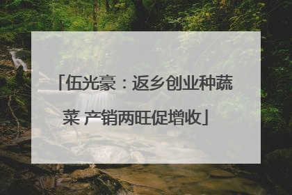 伍光豪：返乡创业种蔬菜 产销两旺促增收