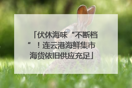 伏休海味“不断档”！连云港海鲜集市海货依旧供应充足