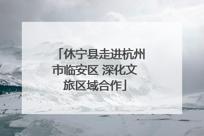 休宁县走进杭州市临安区 深化文旅区域合作