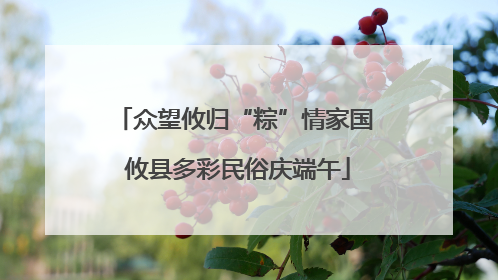 众望攸归“粽”情家国 攸县多彩民俗庆端午