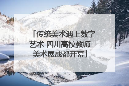 传统美术遇上数字艺术 四川高校教师美术展成都开幕
