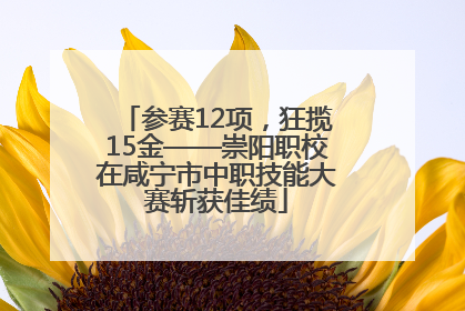 参赛12项，狂揽15金——崇阳职校在咸宁市中职技能大赛斩获佳绩