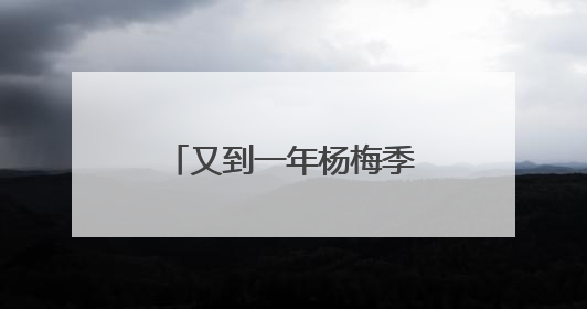 又到一年杨梅季！浙江杨梅赴沪参加世界级食品展