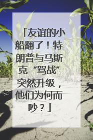 友谊的小船翻了！特朗普与马斯克“骂战”突然升级，他们为何而吵？