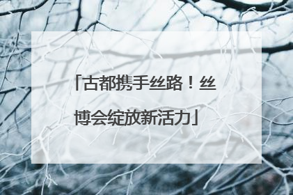 古都携手丝路！丝博会绽放新活力