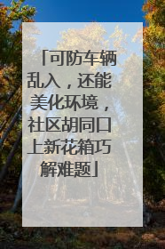 可防车辆乱入，还能美化环境，社区胡同口上新花箱巧解难题