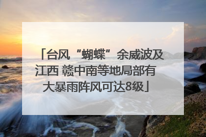 台风“蝴蝶”余威波及江西 赣中南等地局部有大暴雨阵风可达8级