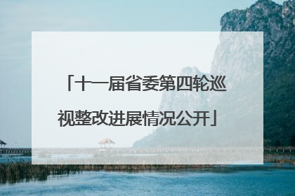 十一届省委第四轮巡视整改进展情况公开