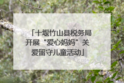 十堰竹山县税务局开展“爱心妈妈”关爱留守儿童活动