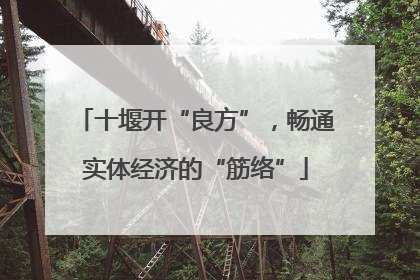 十堰开“良方”，畅通实体经济的“筋络”