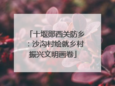 十堰郧西关防乡：沙沟村绘就乡村振兴文明画卷
