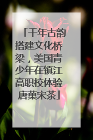 千年古韵搭建文化桥梁，美国青少年在镇江高职校体验唐菓宋茶
