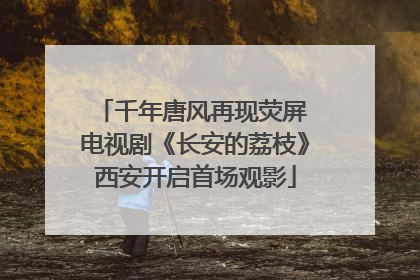 千年唐风再现荧屏 电视剧《长安的荔枝》西安开启首场观影