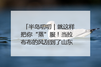 半岛叨叨｜就这样把你“蒸”服！当拉布布的风刮到了山东馒头界……