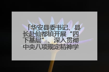 华安县委书记、县长赴仙都镇开展“四下基层”、深入贯彻中央八项规定精神学习教育工作调研