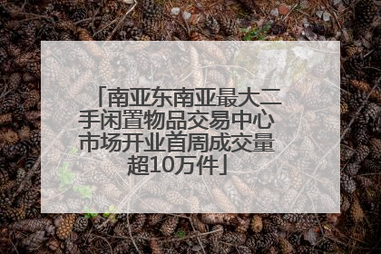 南亚东南亚最大二手闲置物品交易中心市场开业首周成交量超10万件