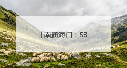 南通海门：S356公路治超监测系统完成试运行