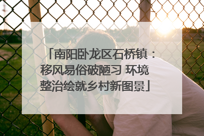 南阳卧龙区石桥镇：移风易俗破陋习 环境整治绘就乡村新图景