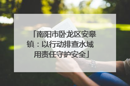 南阳市卧龙区安皋镇：以行动排查水域 用责任守护安全