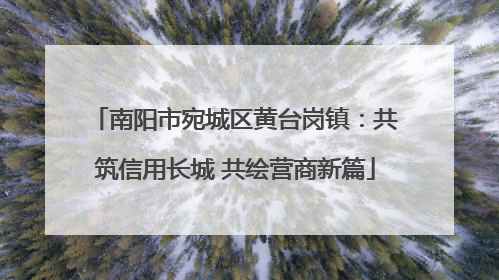南阳市宛城区黄台岗镇：共筑信用长城 共绘营商新篇