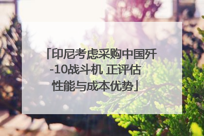 印尼考虑采购中国歼-10战斗机 正评估性能与成本优势