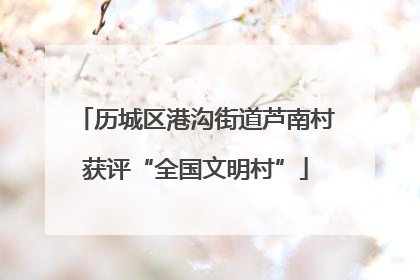 历城区港沟街道芦南村获评“全国文明村”
