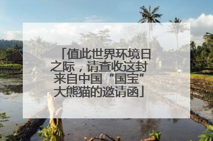 值此世界环境日之际，请查收这封来自中国“国宝”大熊猫的邀请函