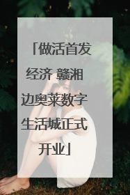 做活首发经济 赣湘边奥莱数字生活城正式开业